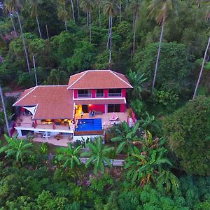 Pink House